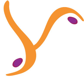Pratica di Asana nello Yoga