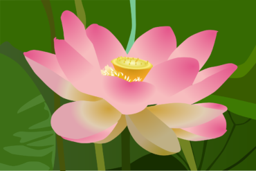 La sādhanā